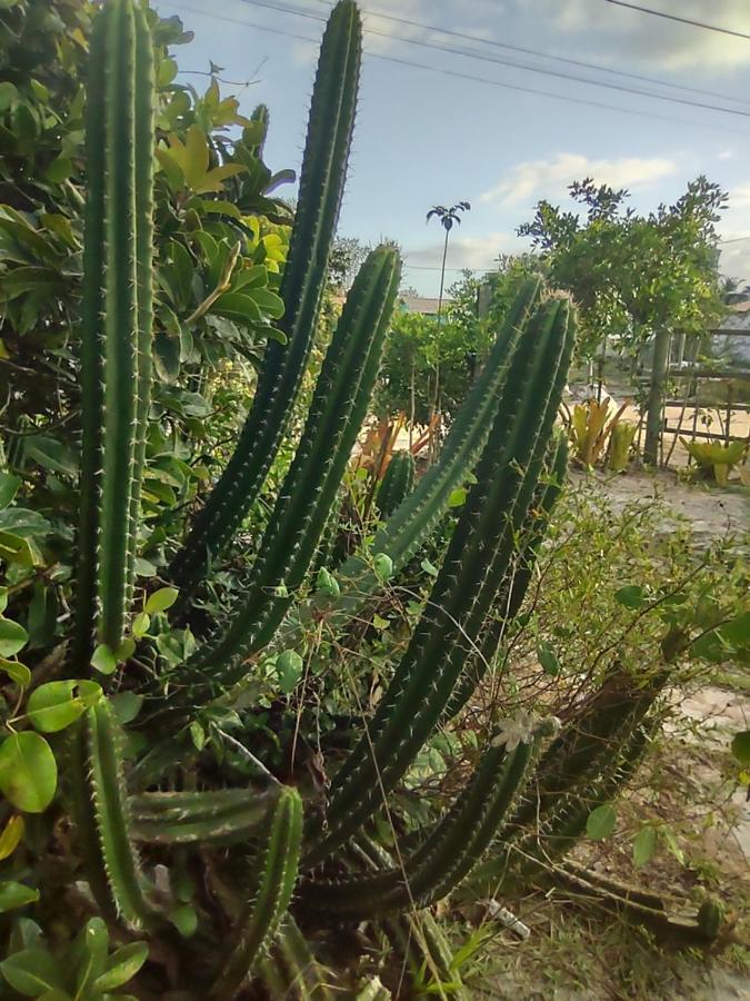 Pousada Quintal Dos Sonhos Xando Caraíva Dış mekan fotoğraf